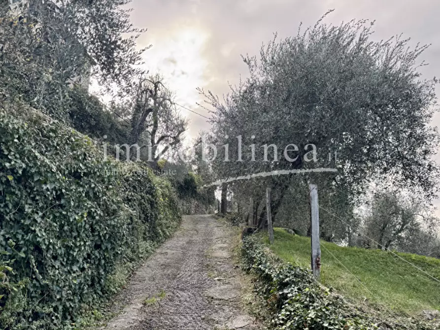 Immagine 18 di Terreno in vendita  in Località Casale a Brenzone