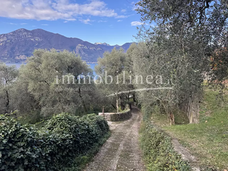 Immagine 19 di Terreno in vendita  in Località Casale a Brenzone
