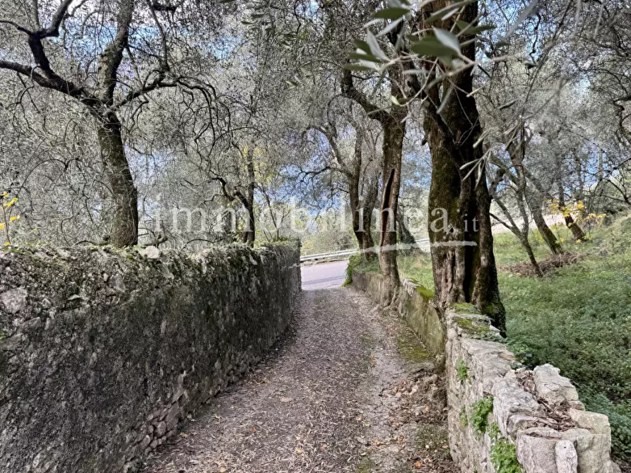 Immagine 20 di Terreno in vendita  in Località Casale a Brenzone