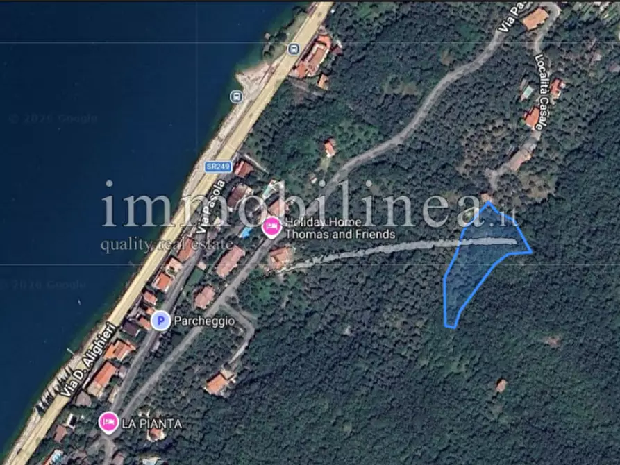 Immagine 21 di Terreno in vendita  in Località Casale a Brenzone