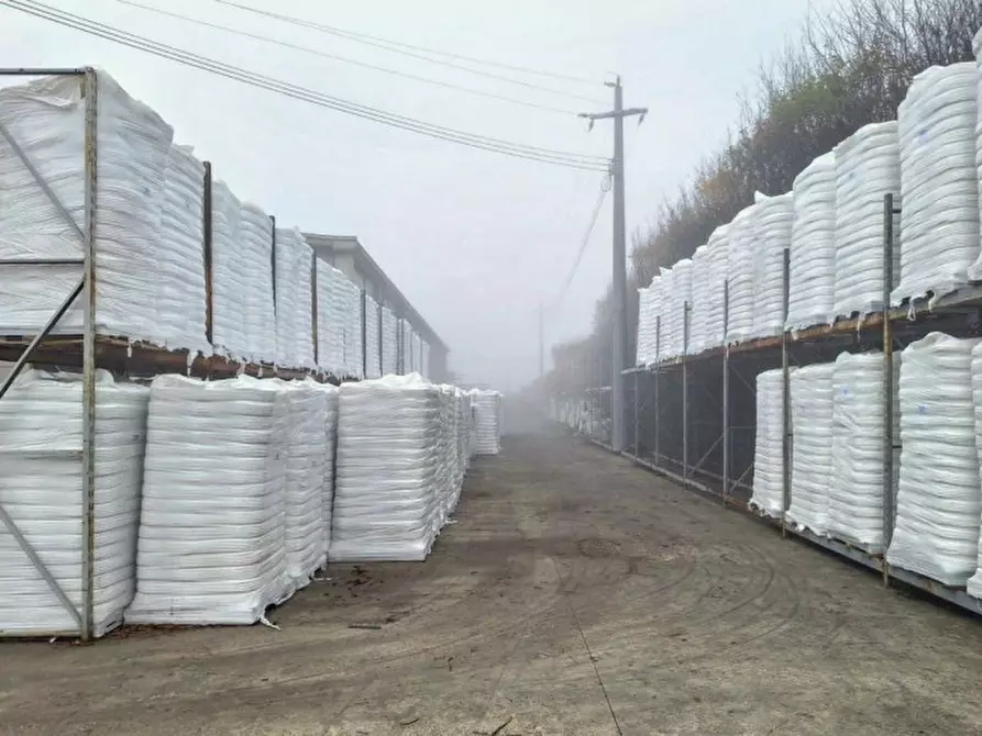 Immagine 20 di Capannone industriale in vendita  in Via Bastia, 124, 48022 Lugo RA, Italia a Lugo