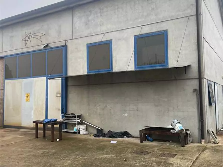 Immagine 2 di Capannone industriale in vendita  in Via Patriarcato 64 a Pianiga