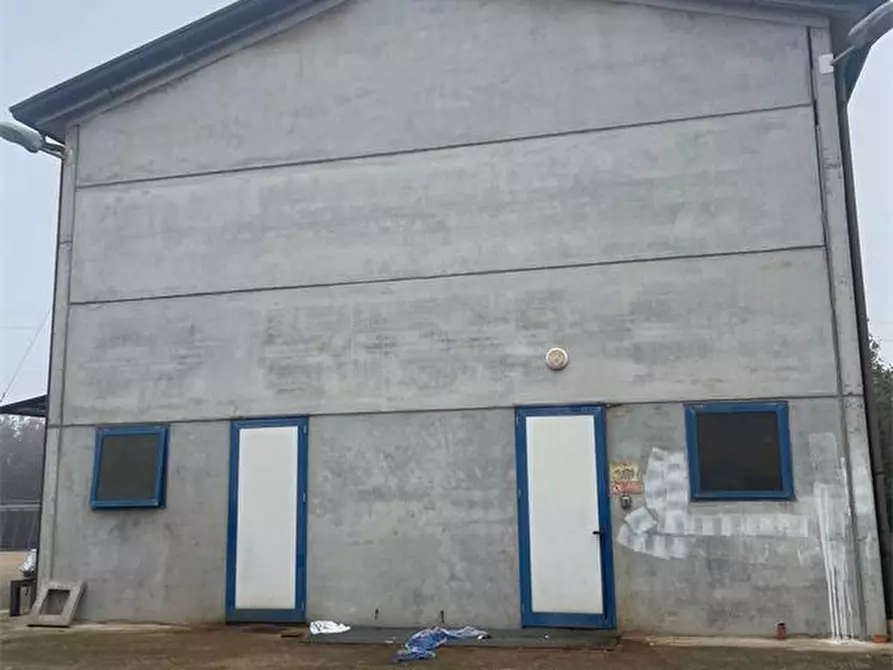 Immagine 3 di Capannone industriale in vendita  in Via Patriarcato 64 a Pianiga