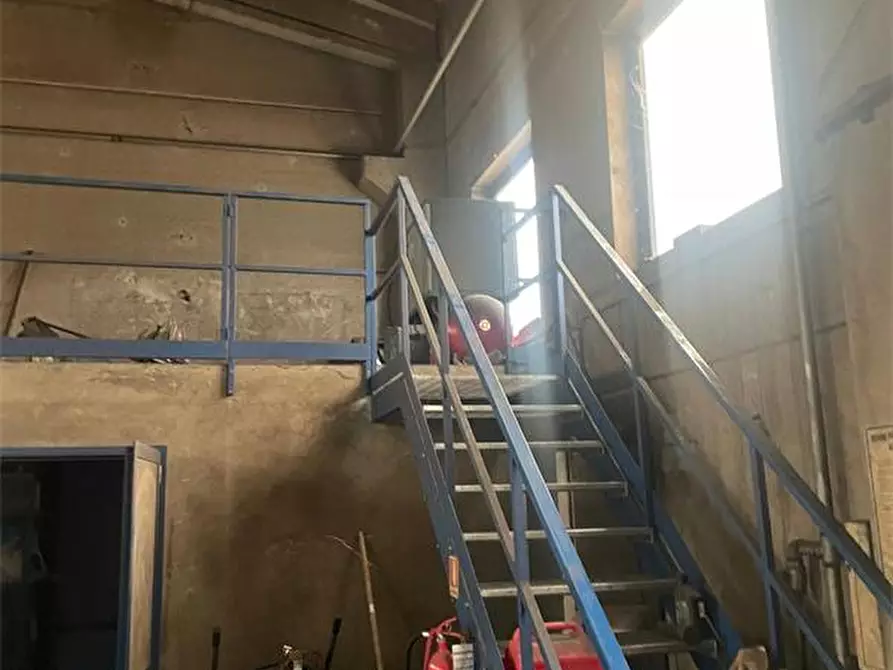 Immagine 4 di Capannone industriale in vendita  in Via Patriarcato 64 a Pianiga