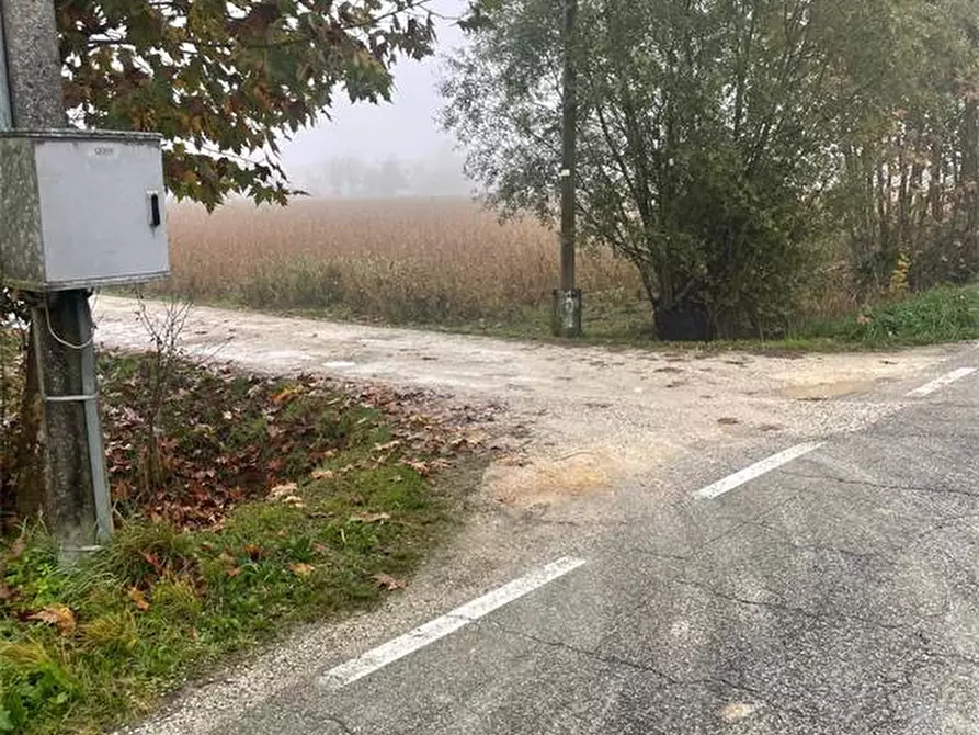 Immagine 5 di Capannone industriale in vendita  in Via Patriarcato 64 a Pianiga