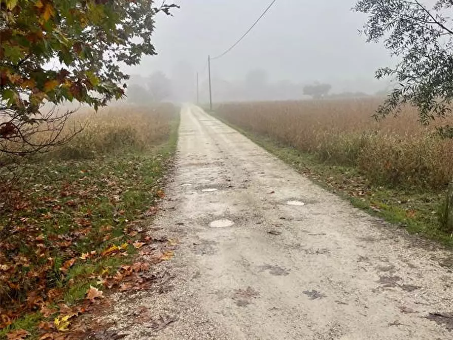 Immagine 6 di Capannone industriale in vendita  in Via Patriarcato 64 a Pianiga