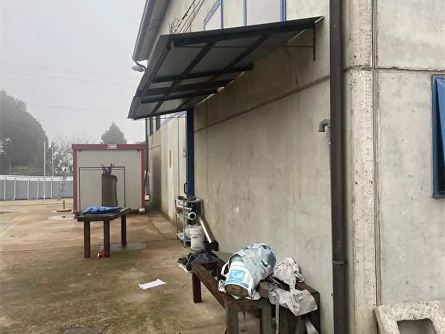 Immagine 8 di Capannone industriale in vendita  in Via Patriarcato 64 a Pianiga