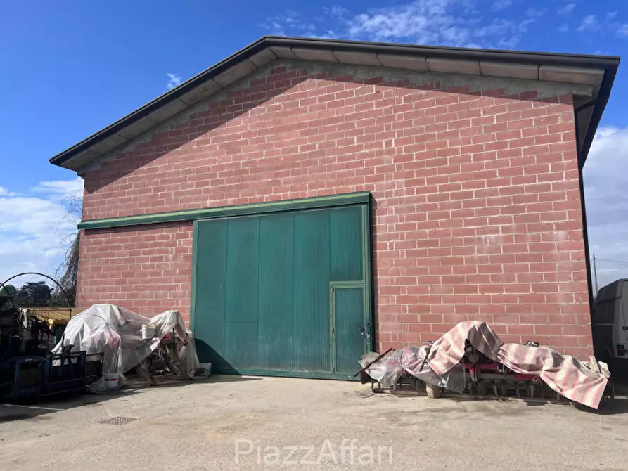 Immagine 1 di Magazzino in vendita  in Campolongo Maggiore Via Rivelli a Campolongo Maggiore