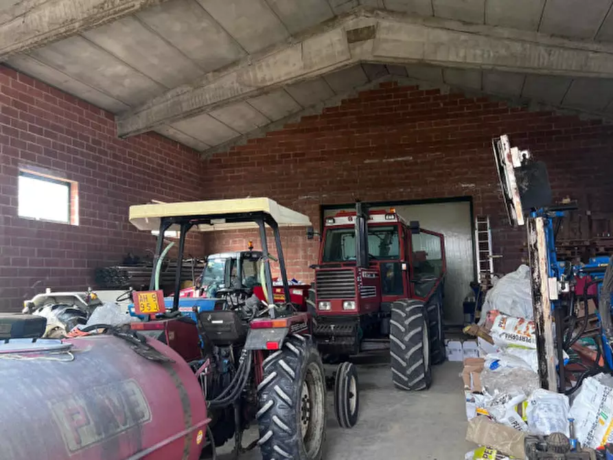 Immagine 3 di Magazzino in vendita  in Campolongo Maggiore Via Rivelli a Campolongo Maggiore