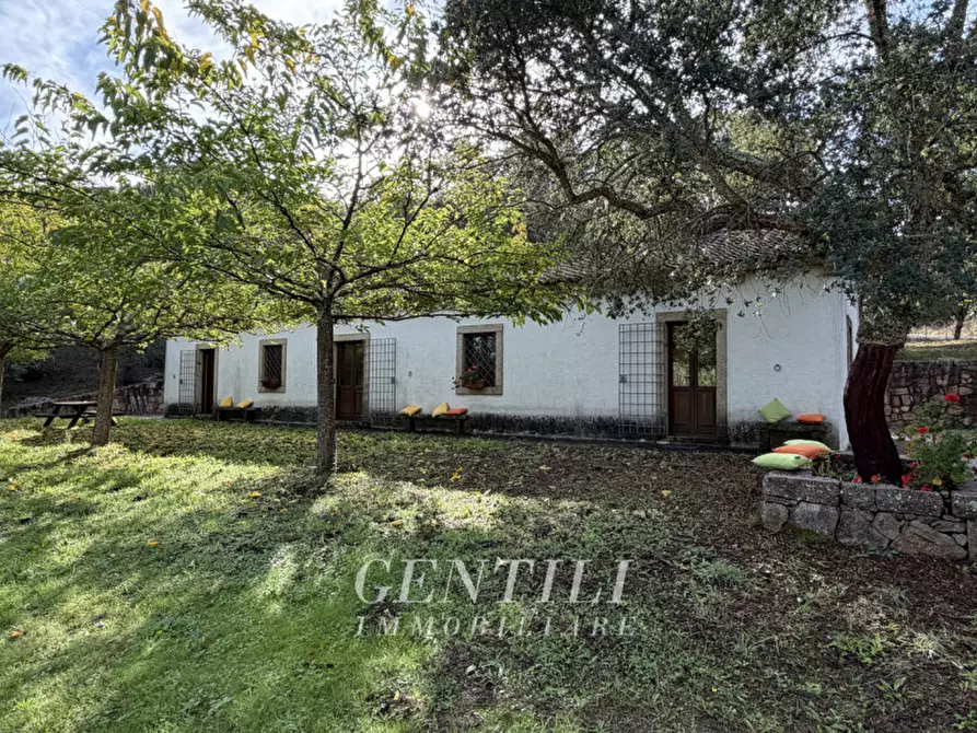 Immagine 19 di Casa indipendente in vendita  a Luogosanto