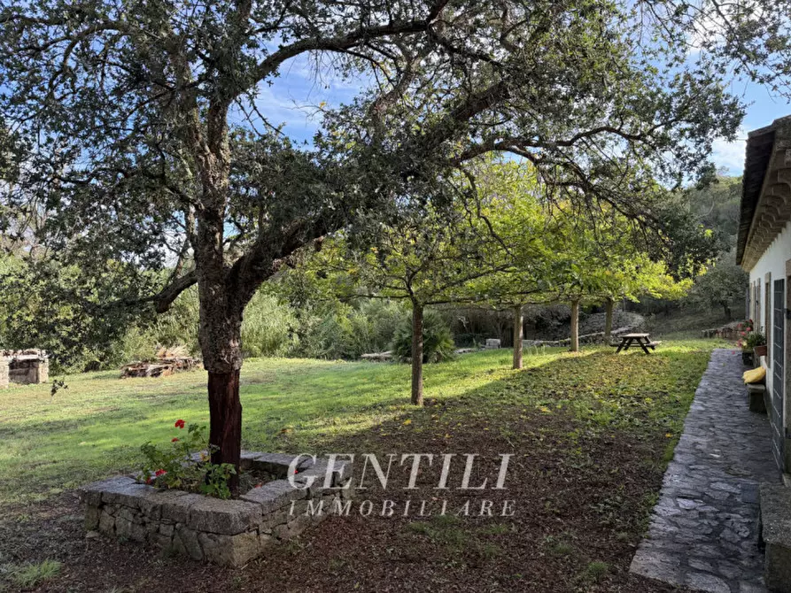 Immagine 20 di Casa indipendente in vendita  a Luogosanto