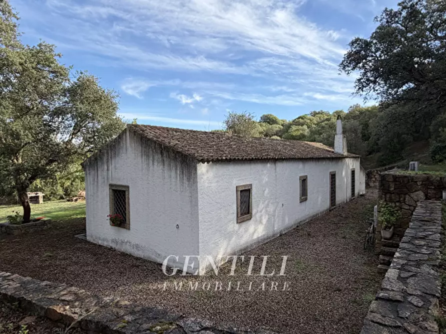 Immagine 21 di Casa indipendente in vendita  a Luogosanto