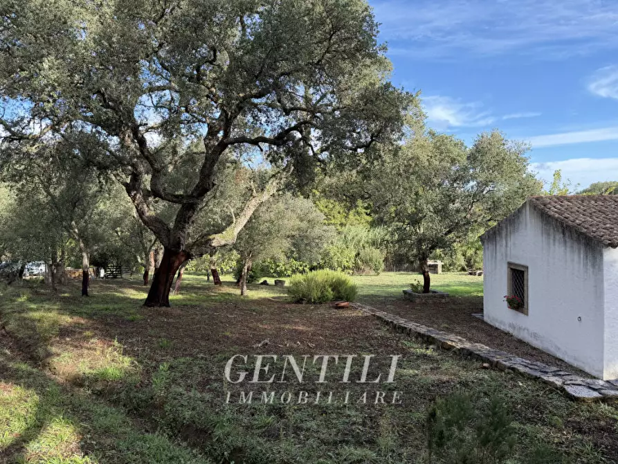 Immagine 22 di Casa indipendente in vendita  a Luogosanto