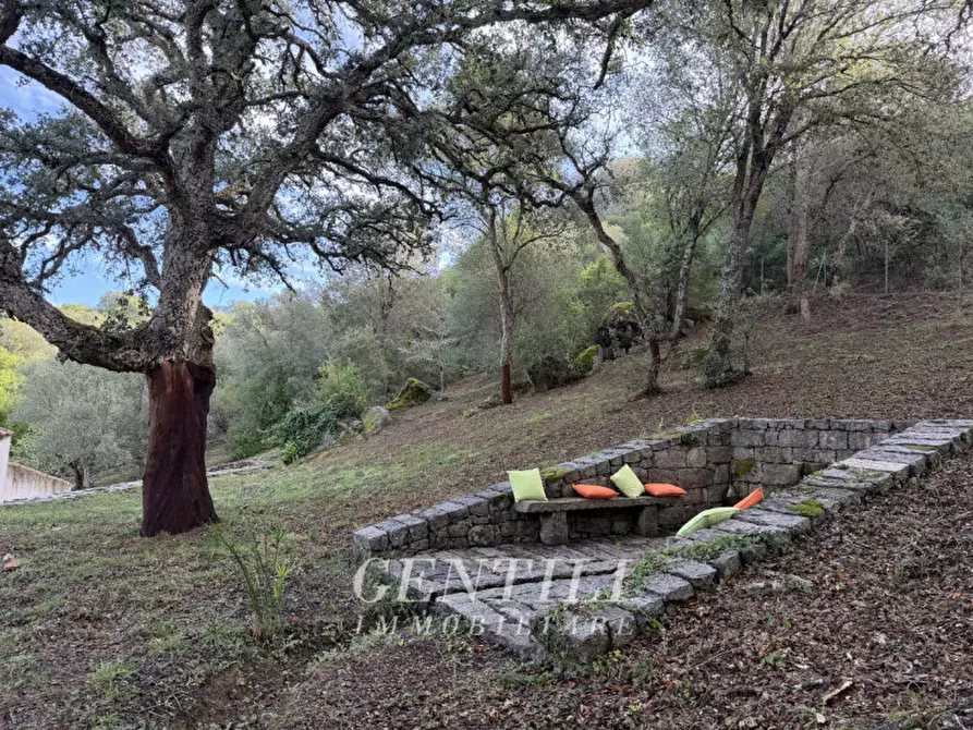 Immagine 23 di Casa indipendente in vendita  a Luogosanto