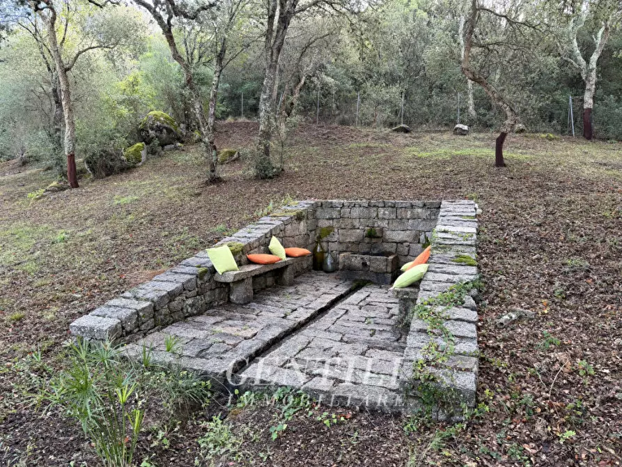 Immagine 24 di Casa indipendente in vendita  a Luogosanto