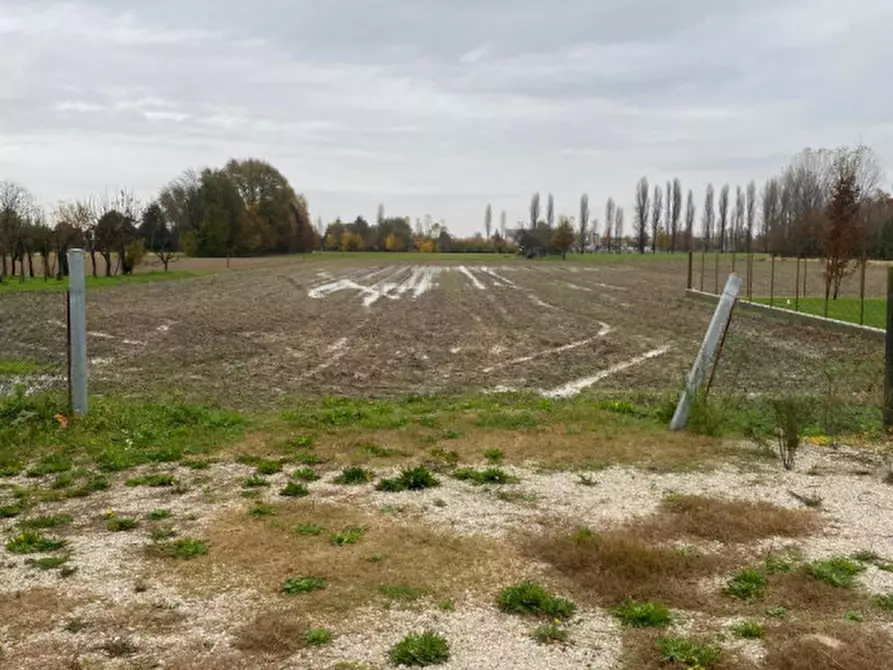 Immagine 3 di Magazzino in vendita  in Via Zinalbo a Santa Maria Di Sala