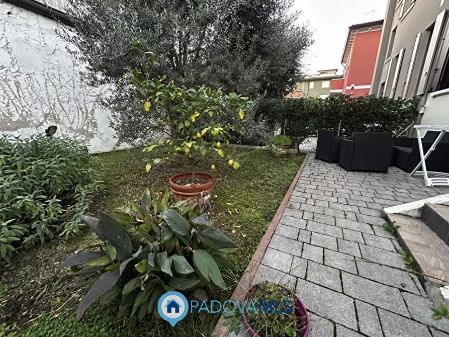 Immagine 9 di Casa bifamiliare in vendita  in Via Francesco Guicciardini a Padova