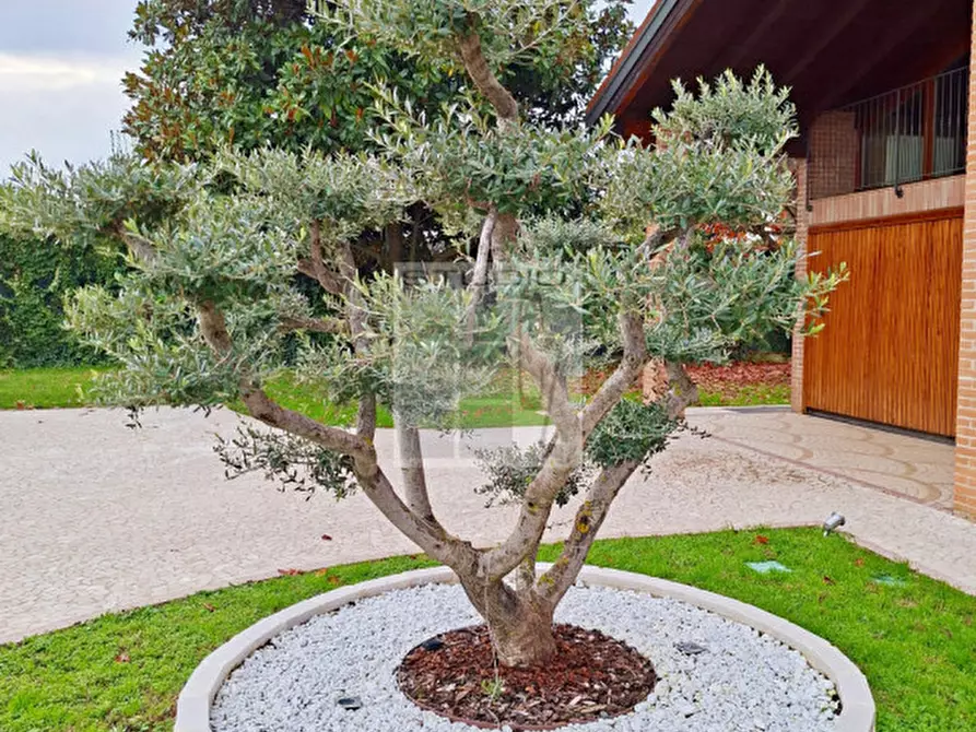 Immagine 27 di Casa indipendente in vendita  in Via Buson a San Giorgio Delle Pertiche