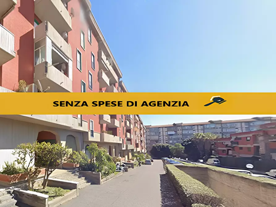 Immagine 1 di Appartamento in vendita  in VIALE CASTAGNOLA 14 a Catania