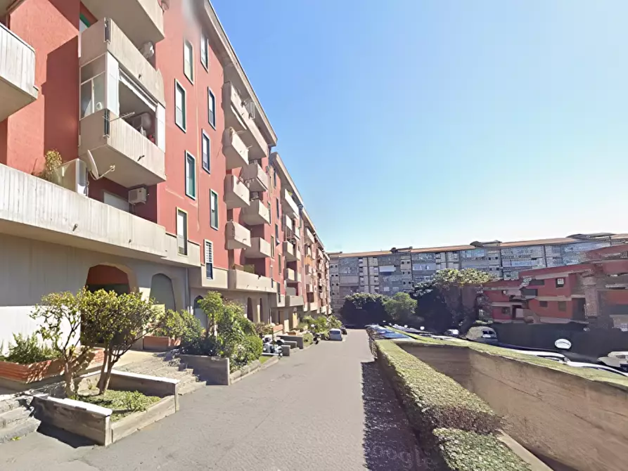 Immagine 4 di Appartamento in vendita  in VIALE CASTAGNOLA 14 a Catania