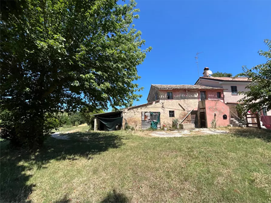 Immagine 7 di Villetta a schiera in vendita  a Senigallia