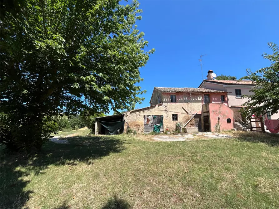 Immagine 9 di Villetta a schiera in vendita  a Senigallia