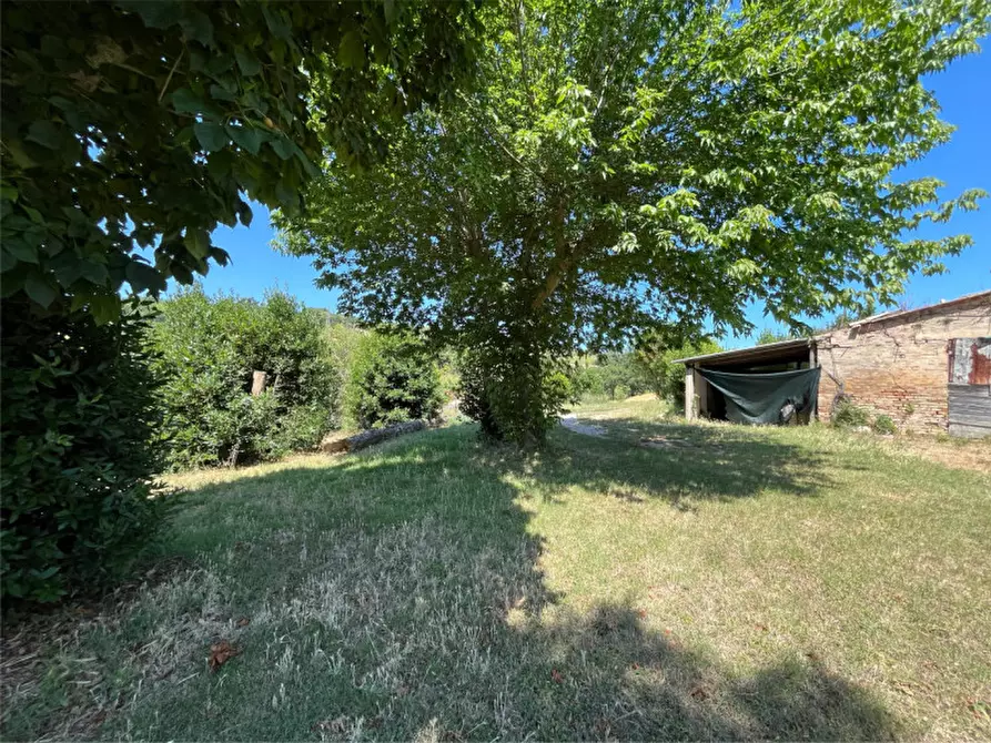 Immagine 9 di Villetta a schiera in vendita  a Senigallia