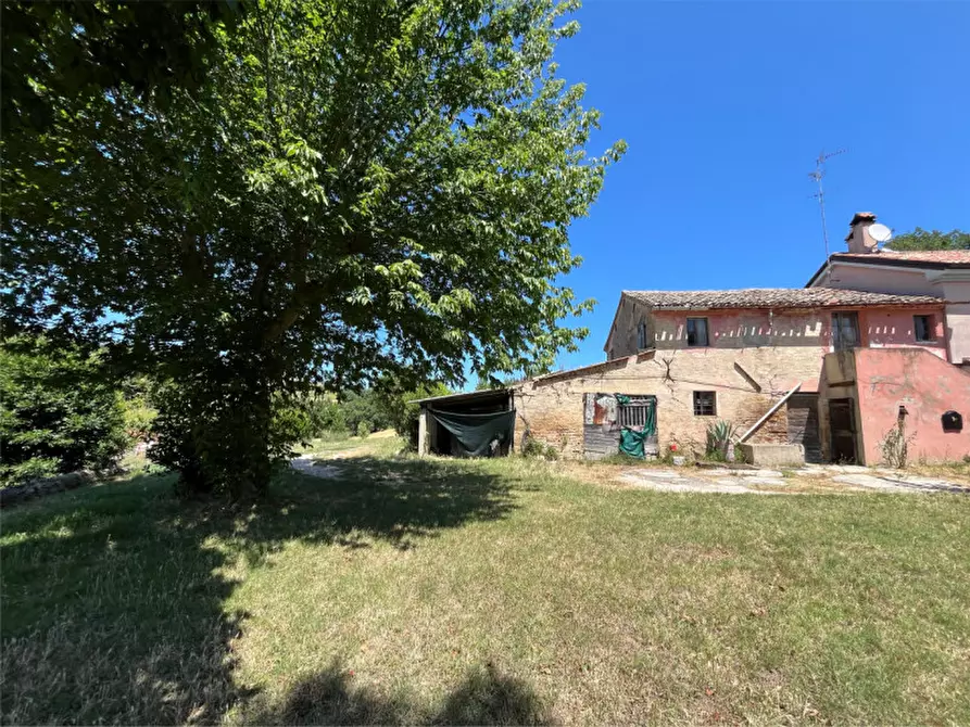 Immagine 2 di Villetta a schiera in vendita  a Senigallia