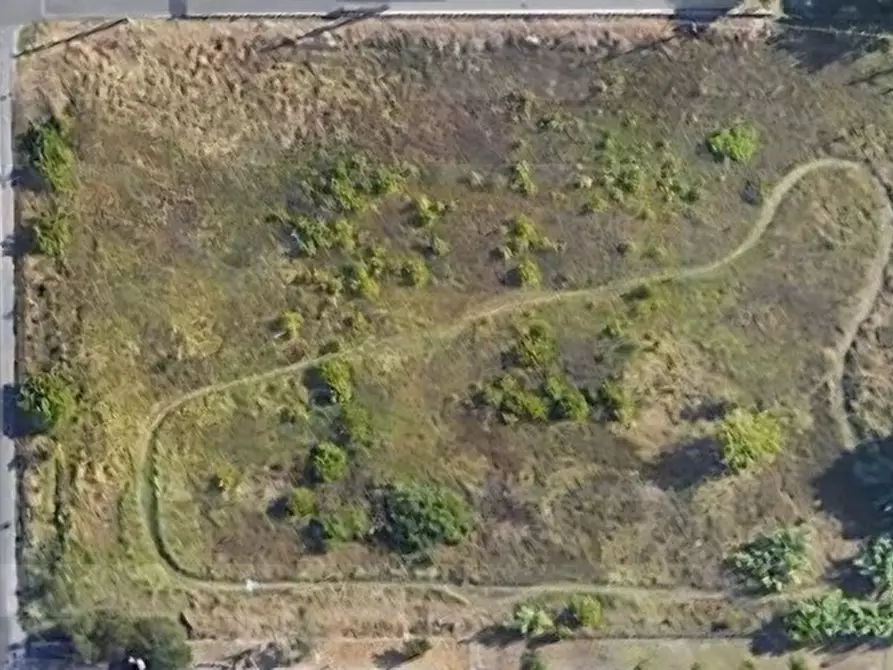 Immagine 1 di Terreno in vendita  in via selice provinciale a Imola
