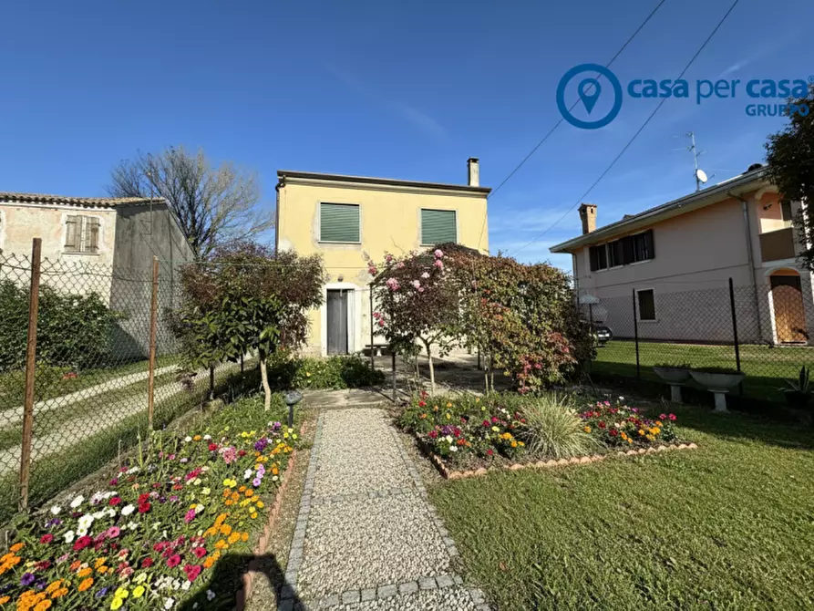 Immagine 18 di Casa indipendente in vendita  in Via Sabbioni a Corbola