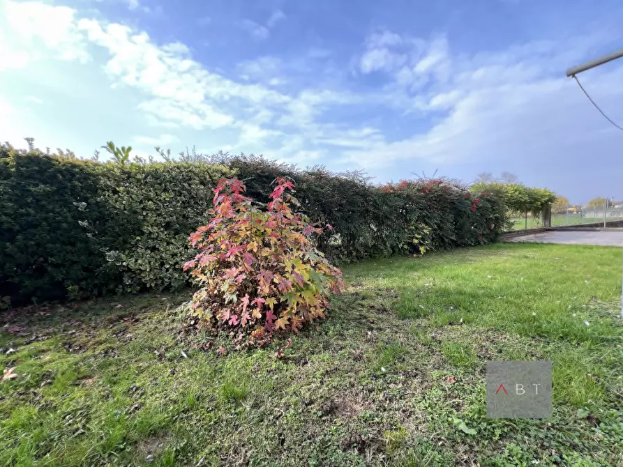 Immagine 15 di Casa quadrifamiliare in vendita  a Tombolo