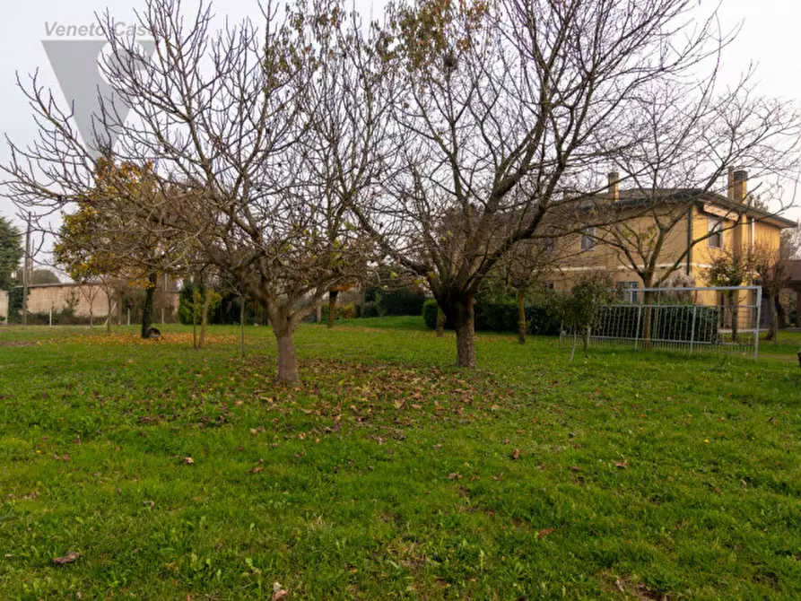 Immagine 31 di Casa bifamiliare in vendita  a Polverara