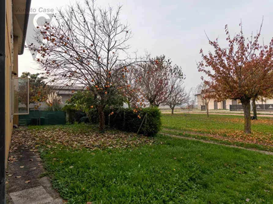 Immagine 36 di Casa bifamiliare in vendita  a Polverara