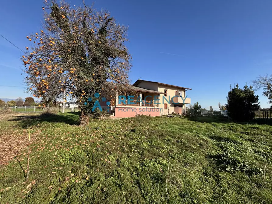 Immagine 2 di Casa indipendente in vendita  in Via Albereria a Bressanvido