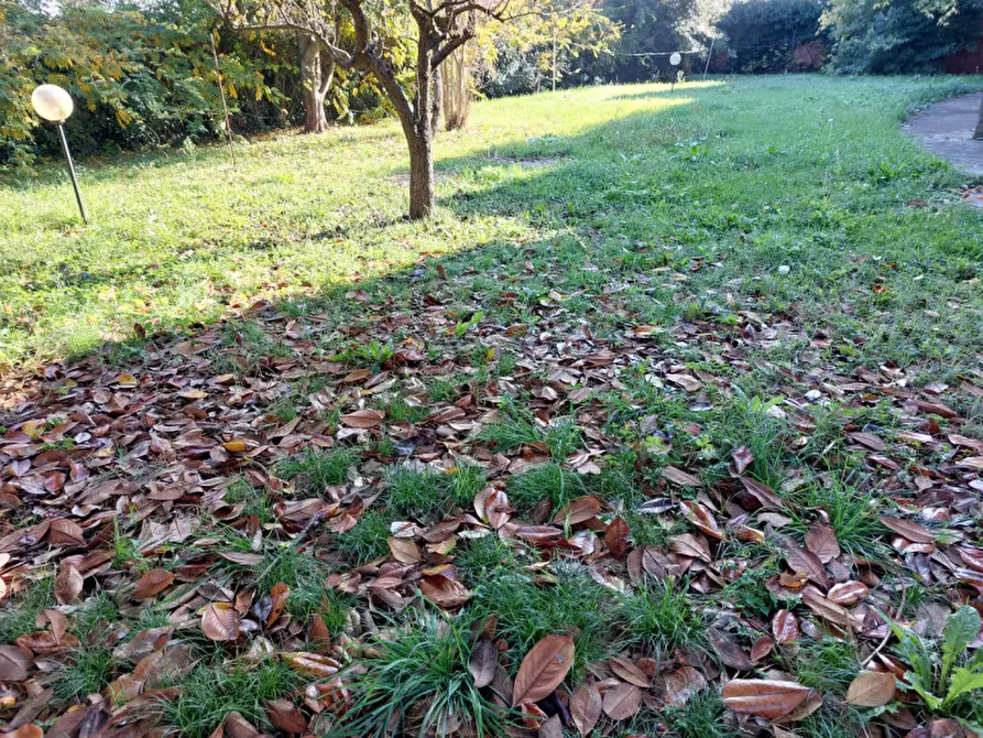 Immagine 29 di Villa in vendita  a Badia Polesine