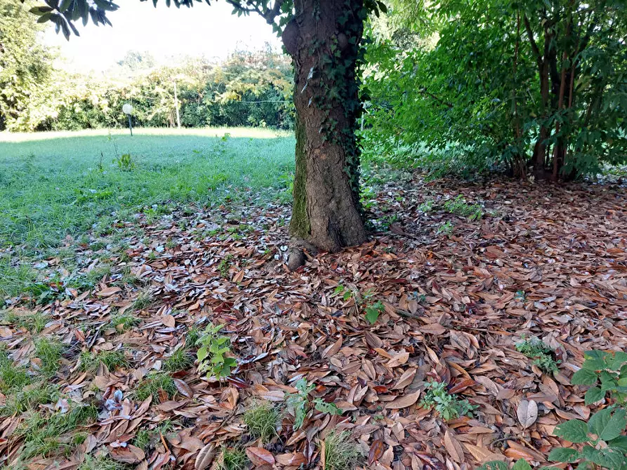 Immagine 30 di Villa in vendita  a Badia Polesine