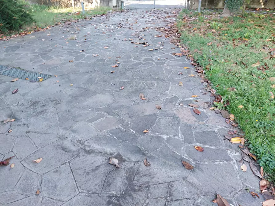 Immagine 31 di Villa in vendita  a Badia Polesine