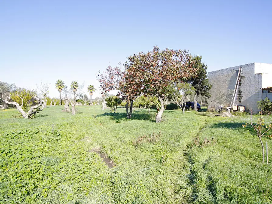 Immagine 1 di Capannone industriale in vendita  in Monaci a Parabita
