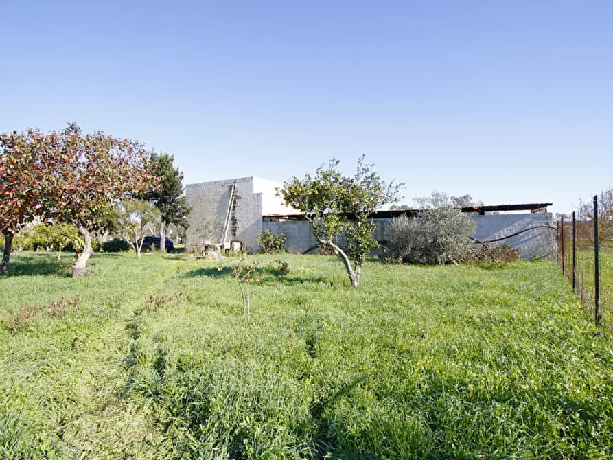 Immagine 2 di Capannone industriale in vendita  in Monaci a Parabita