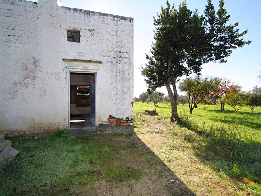 Immagine 4 di Capannone industriale in vendita  in Monaci a Parabita