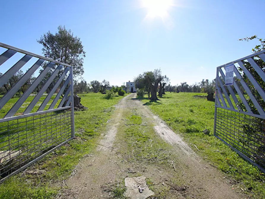 Immagine 11 di Capannone industriale in vendita  in Monaci a Parabita