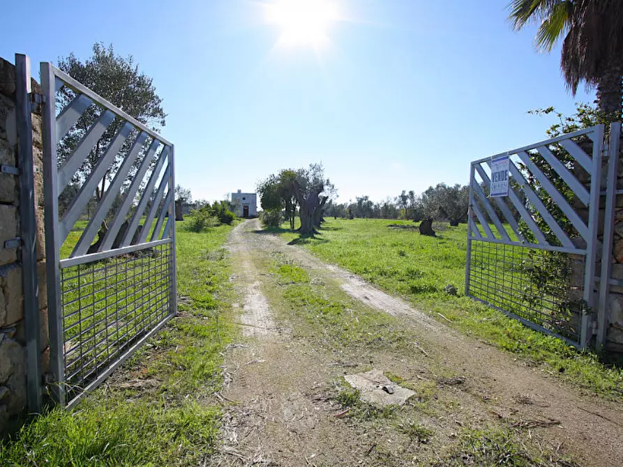 Immagine 12 di Capannone industriale in vendita  in Monaci a Parabita