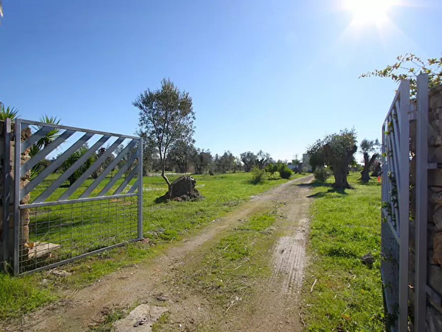 Immagine 13 di Capannone industriale in vendita  in Monaci a Parabita