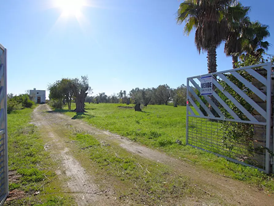 Immagine 14 di Capannone industriale in vendita  in Monaci a Parabita