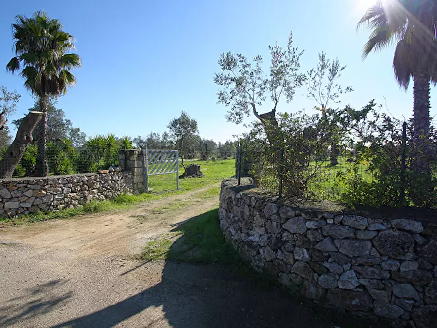 Immagine 15 di Capannone industriale in vendita  in Monaci a Parabita