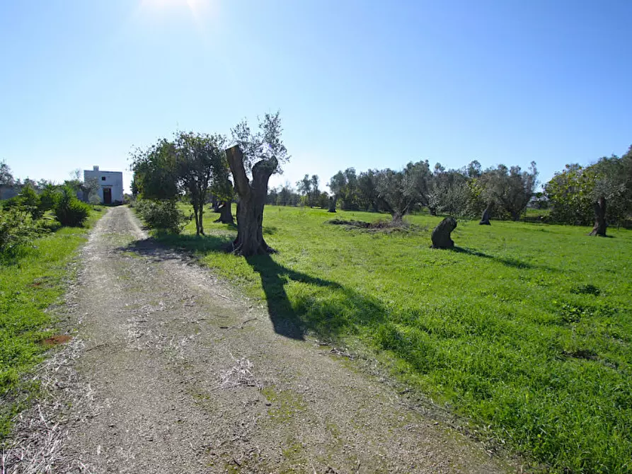 Immagine 16 di Capannone industriale in vendita  in Monaci a Parabita
