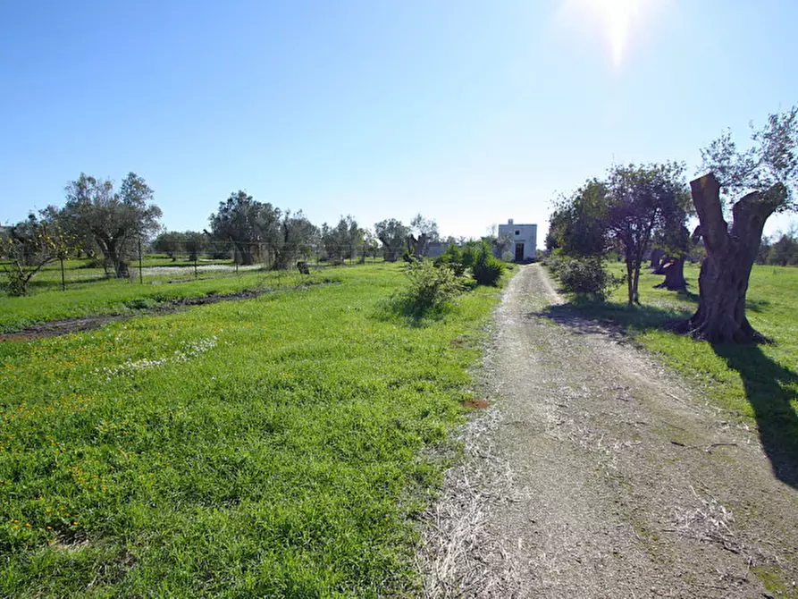 Immagine 17 di Capannone industriale in vendita  in Monaci a Parabita
