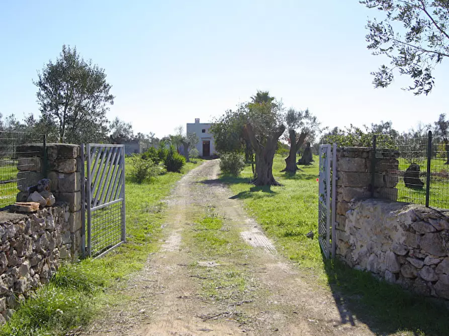 Immagine 19 di Capannone industriale in vendita  in Monaci a Parabita