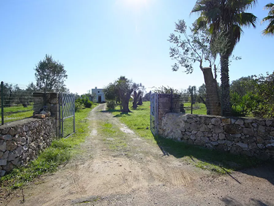 Immagine 20 di Capannone industriale in vendita  in Monaci a Parabita