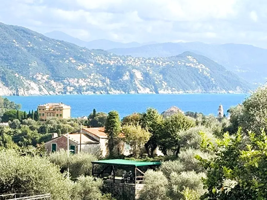 Immagine 7 di Appartamento in vendita  in Via Camillo Sbarbaro a Santa Margherita Ligure